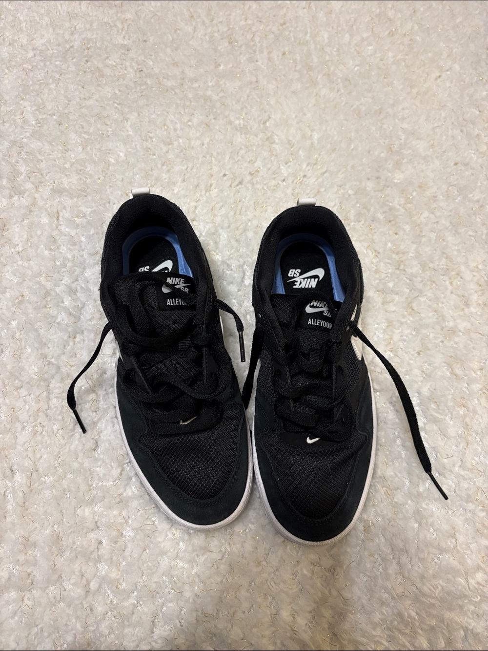 Nike Black and White Skate Sneakers